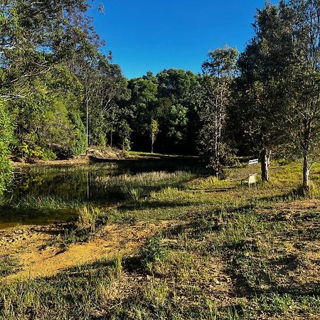 Noosa Avalon Farm Cottages Sunshine Coast Exteriör bild